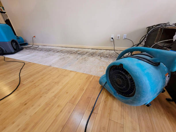 Professional Structural Drying technician working in Planada, CA